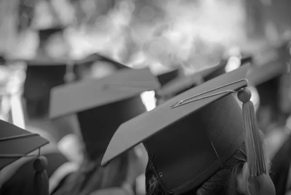 COLLEGES & UNIVERSITIES